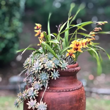 Casa de Férias Quinta Da Bela Vista Ponta Delgada
